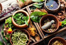 Plante medicinale: beneficii, proprietăți și cum să le folosești în siguranță