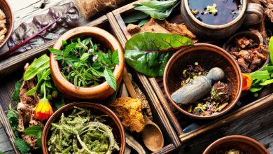 Plante medicinale: beneficii, proprietăți și cum să le folosești în siguranță