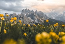 5,3 miliarde de imagini în fiecare zi, la nivel global: seria HONOR 600 simplifică editarea foto cu ajutorul AI