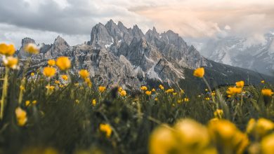 5,3 miliarde de imagini în fiecare zi, la nivel global: seria HONOR 600 simplifică editarea foto cu ajutorul AI