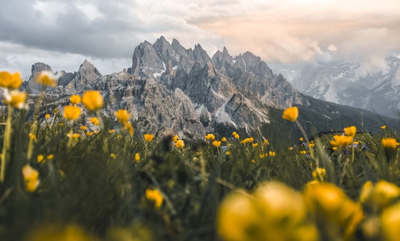 5,3 miliarde de imagini în fiecare zi, la nivel global: seria HONOR 600 simplifică editarea foto cu ajutorul AI