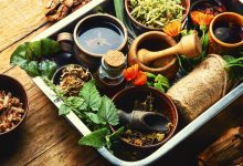 Plante medicinale de recoltat în august: o lună în care natura își arată generozitatea