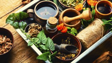 Plante medicinale de recoltat în august: o lună în care natura își arată generozitatea
