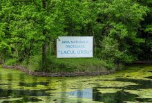 Echilibrul interior, secretul longevității: beneficiile terapeutice ale apei și nămolului