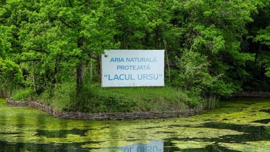 Echilibrul interior, secretul longevității: beneficiile terapeutice ale apei și nămolului