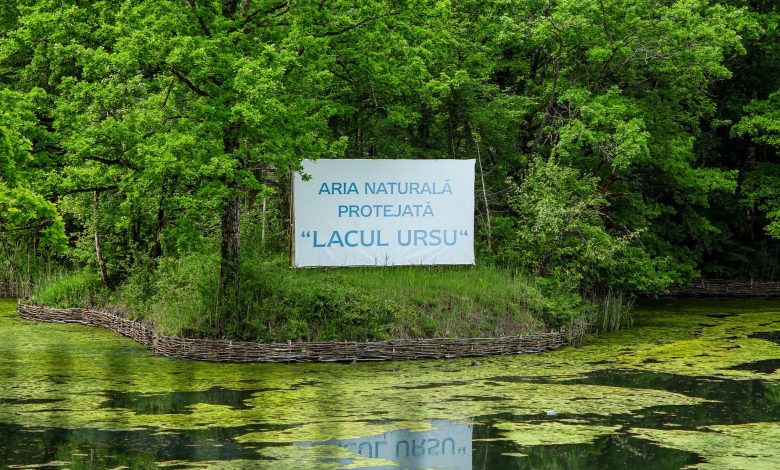 Echilibrul interior, secretul longevității: beneficiile terapeutice ale apei și nămolului