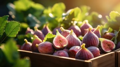 Smochinele: curiozități, beneficii și valori nutriționale