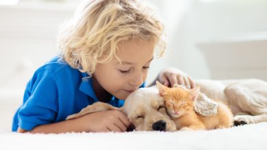 Câine sau pisică în patul copilului? Ce arată un nou studiu despre somnul celor mici?