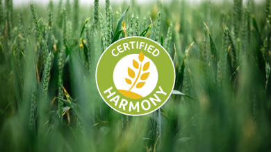 Programul Harmony începe un nou capitol ca sistem de certificare independent, pentru a crește impactul de-a lungul lanțului valoric al grâului din Europa