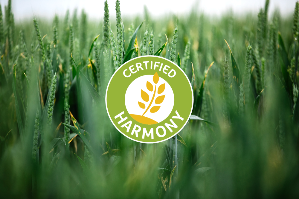 Programul Harmony începe un nou capitol ca sistem de certificare independent, pentru a crește impactul de-a lungul lanțului valoric al grâului din Europa