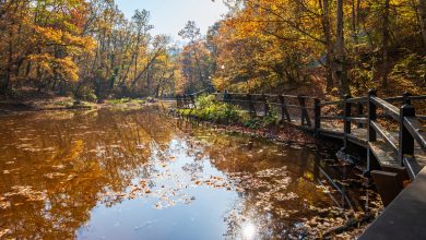 Toamna îți priește: escapade cu spa și timp pentru tine